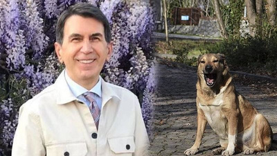 Fuat Uğur'un eşine başıboş köpekler saldırdı